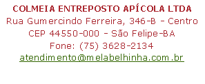 Caixa de Texto: COLMEIA ENTREPOSTO APCOLA LTDARua Gumercindo Ferreira, 346-B - Centro CEP 44550-000 - So Felipe-BAFone: (75) 3628-2134atendimento@melabelhinha.com.br